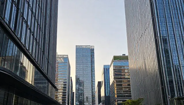 管理软件开发：选型关注点的具体分析